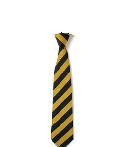Ashfield School - Ashfield School Tie