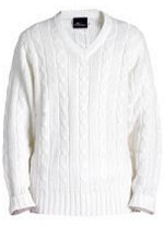 Cricket V-Neck Jumper