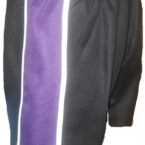 The Webber Independent School - TWIS Boys PE Shorts
