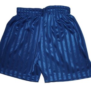 Shadow stripe Shorts