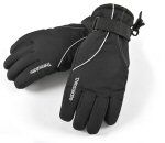 Ski gloves