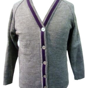 The Webber Independent School - TWIS Cardigan