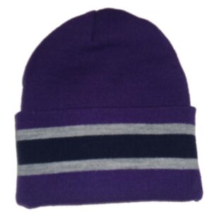 The Webber Independent School - TWIS Ski hat