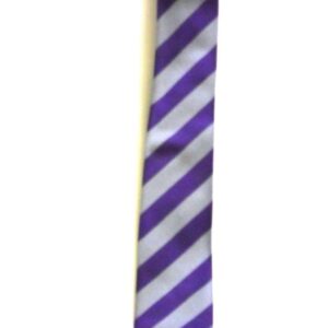 The Webber Independent School - TWIS Senior tie
