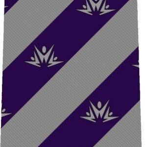 The Webber Independent School - TWIS 6th Form boys tie
