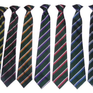 Bushey Meads School - BMS Clip-on ties