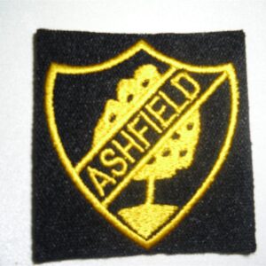 Ashfield School - ASHF School Badge
