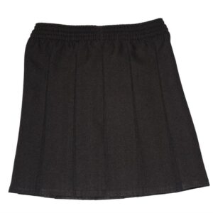 Box Pleat Skirt