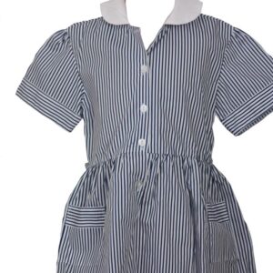 reddiford school - RFS Summer Dress