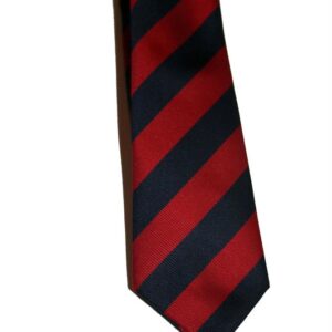 reddiford school - RFS School Tie