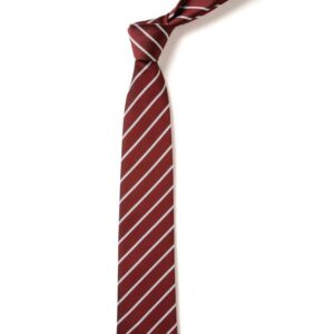 Bushey Heath Primary School - BHS School Tie